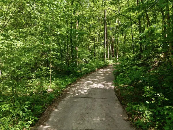 1550 Little Bartons Creek Rd, Cumberland Furnace, TN 37051
