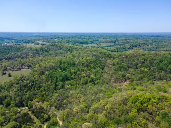 0 Williams Rd, Cornersville, TN 37047