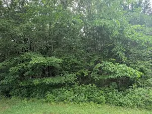 171 Echols Rd, Elora, TN 37328