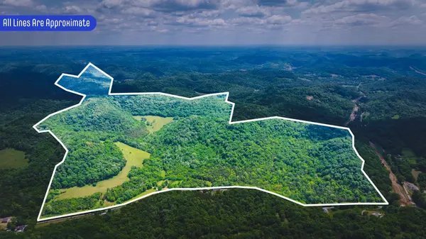 96 Maranatha Hollow Ln, Dixon Springs, TN 37057