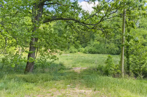 0 Red Williams Rd, Huntingdon, TN 38344