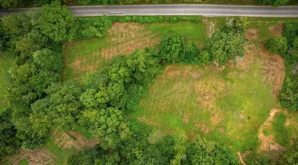 0 Red Williams Rd, Huntingdon, TN 38344
