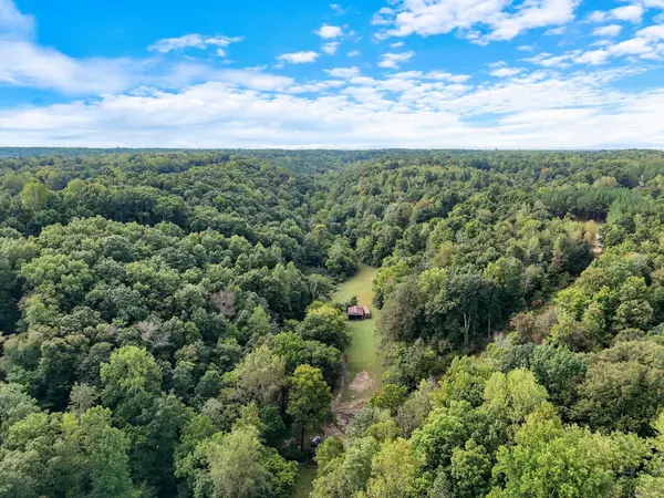 1344 Cut Off Rd, Ethridge, TN 38456