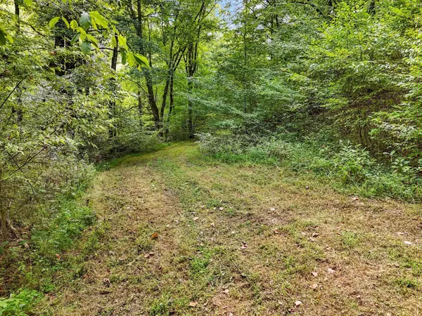 1344 Cut Off Rd, Ethridge, TN 38456