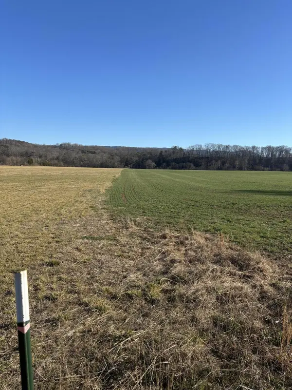 168 Moby Road Road, Delano, TN 37325