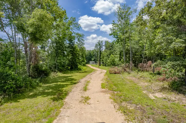 6126 Calvin Potts Rd, Primm Springs, TN 38476