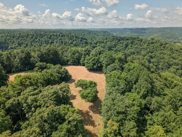 0 P Davis Rd, Auburntown, TN 37016