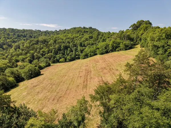 0 P Davis Rd, Auburntown, TN 37016