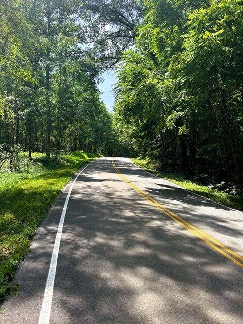7 Pleasant Hill Road, Ten Mile, TN 37880