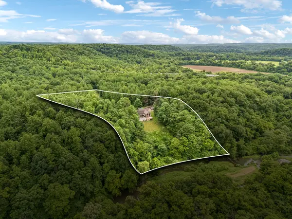 18385 McCaleb Ln, Primm Springs, TN 38476