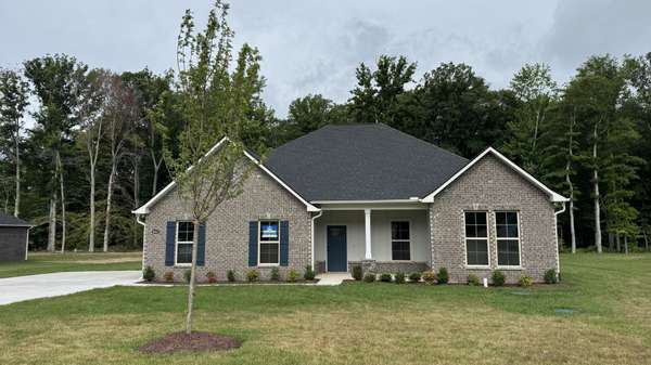 8663 Turnbull Dr, Pleasant View, TN 37146