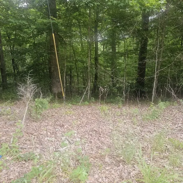 0 Scenic Drive, Dickson, TN 37055