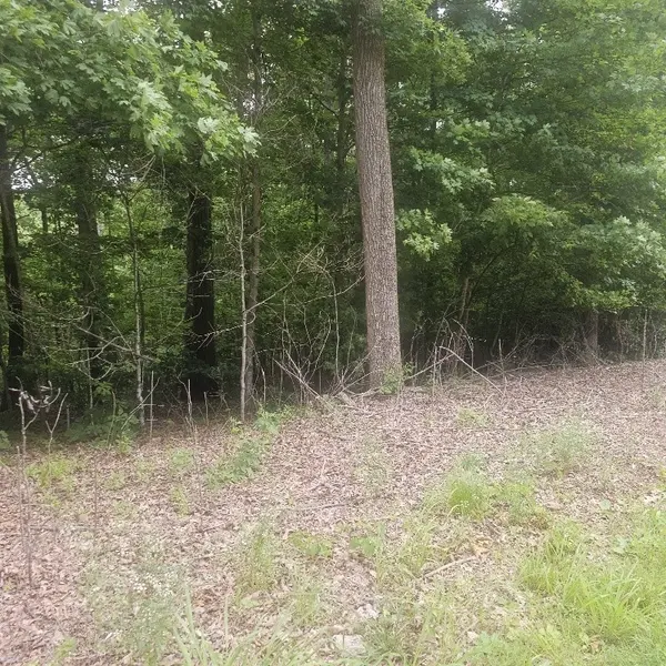 0 Scenic Drive, Dickson, TN 37055
