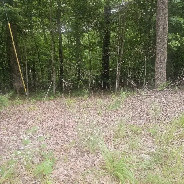0 Scenic Drive, Dickson, TN 37055