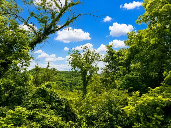 0 Bella Grace Drive, Smithville, TN 37166