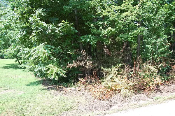 65 Dogwood Lane, Dunlap, TN 37327