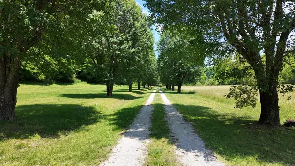 1000 Sendero Bad, Dickson, TN 37055