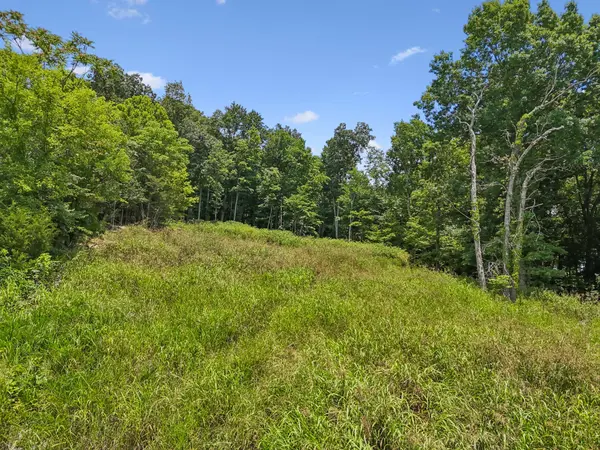 0 Matt Drive, Bell Buckle, TN 37020