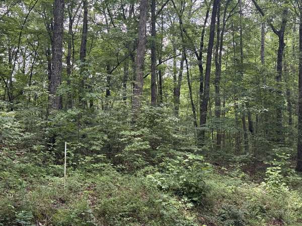 0 Wilder Hwy, Crawford, TN 38554