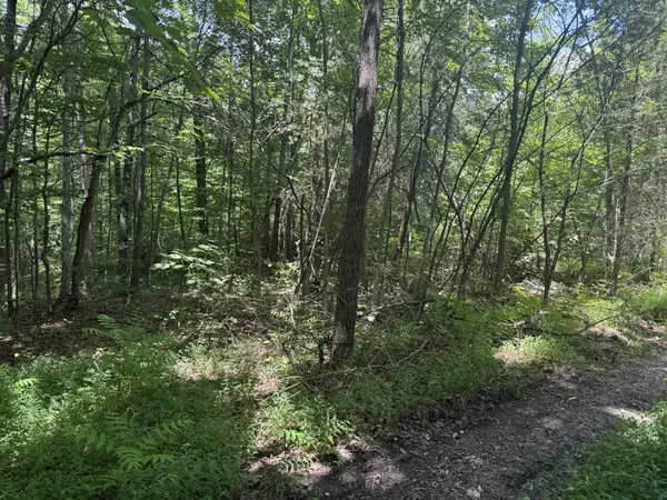 0 Wilder Hwy, Crawford, TN 38554