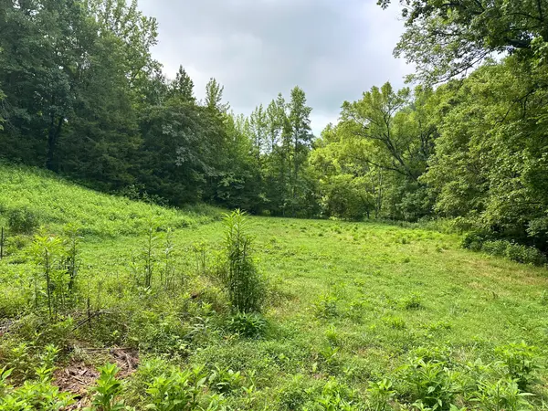 0 Dickens Rd, Buffalo Valley, TN 38548
