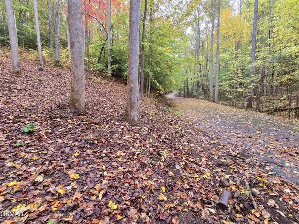 0 Cara Way, Cosby, TN 37722