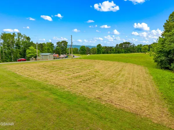 55 Covington Road, Dandridge, TN 37725