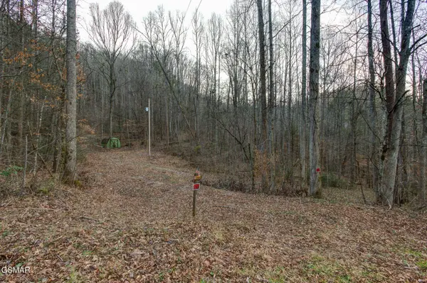 4120 Highland Road, Cosby, TN 37722