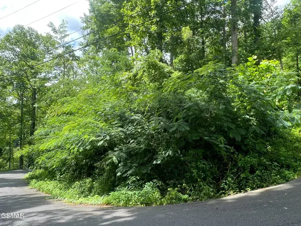 752 Loop Road,  Gatlinburg,  TN 37738