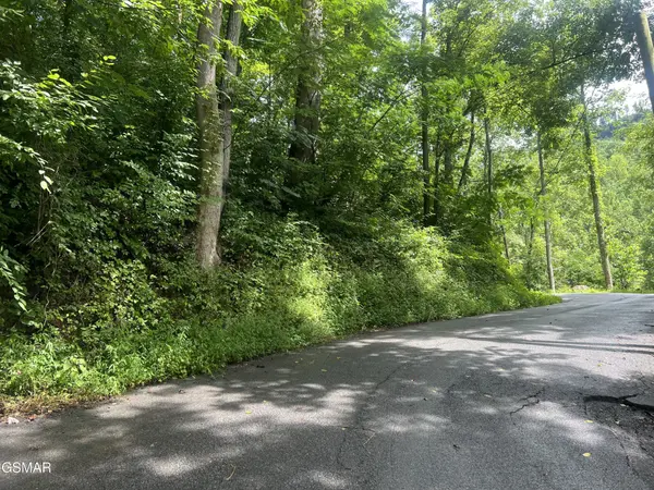 752 Loop Road, Gatlinburg, TN 37738
