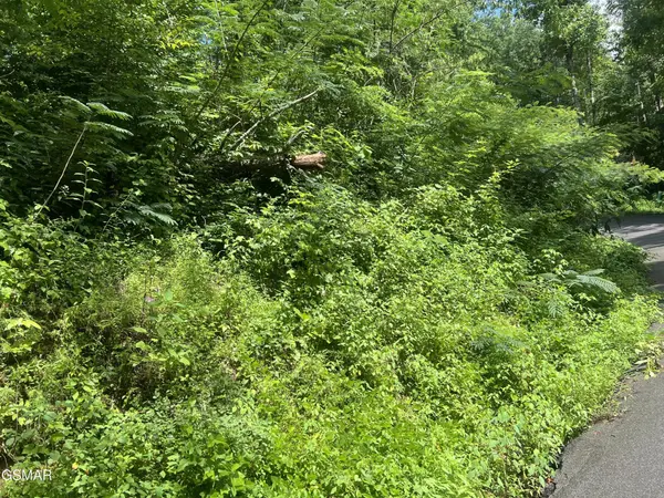 752 Loop Road, Gatlinburg, TN 37738