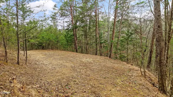 711 Windy Cove Way, Sevierville, TN 37876