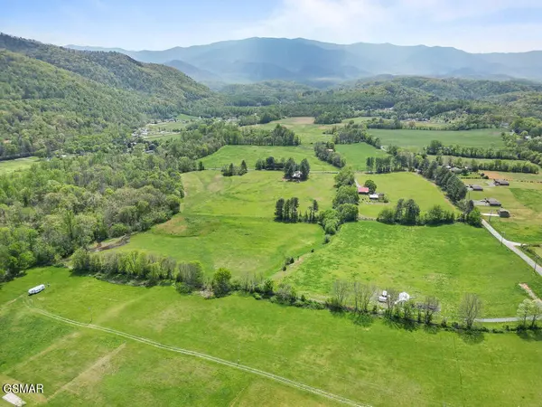 3858 Holders Grove Road, Cosby, TN 37722