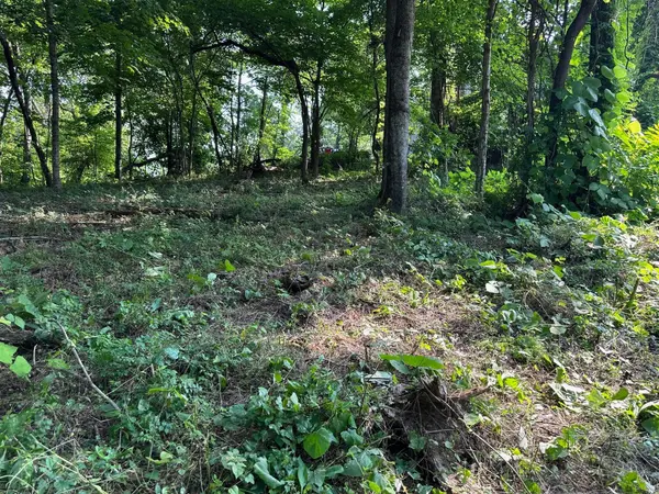 0 Black Oak Estates Road, Dayton, TN 37321