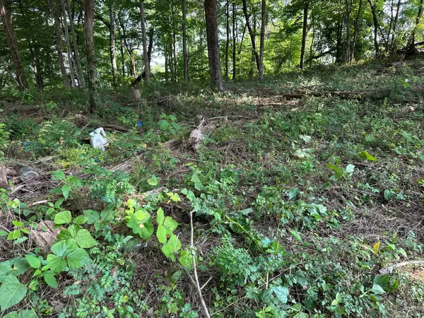 0 Black Oak Estates Road, Dayton, TN 37321