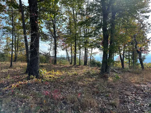 288 Duckwood Lane, Evensville, TN 37332