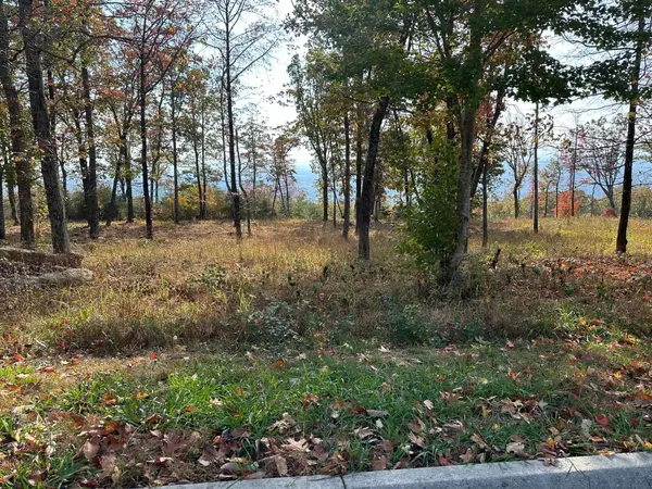 288 Duckwood Lane, Evensville, TN 37332