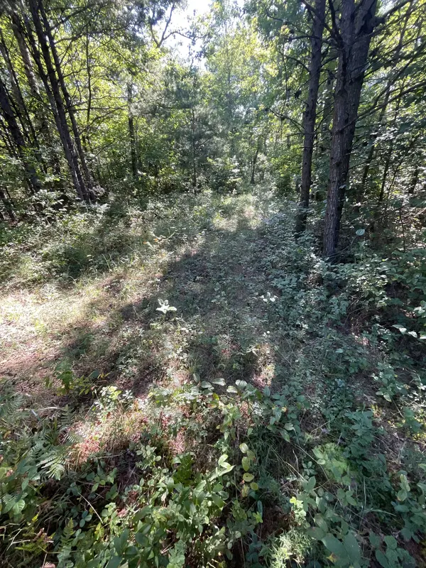 0 Turkey Track Rd, Altamont, TN 37301