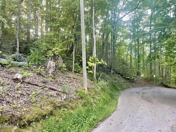 3 Carter Plaza,  Gatlinburg,  TN 37738