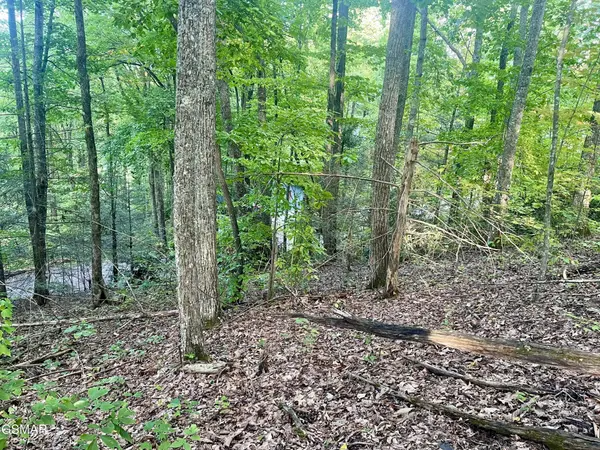 3 Carter Plaza, Gatlinburg, TN 37738