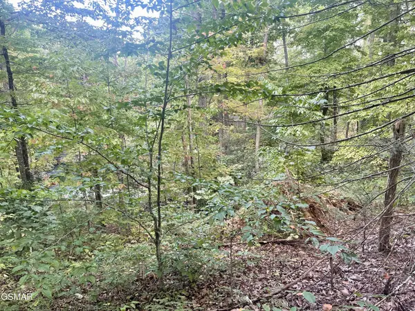 3 Carter Plaza, Gatlinburg, TN 37738