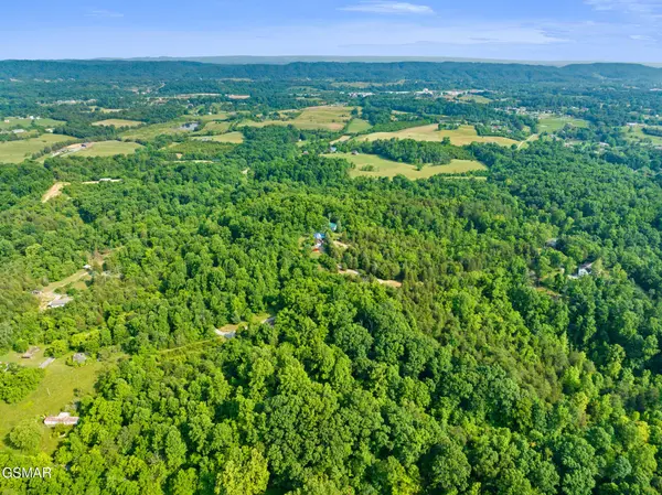 261 Buzzard Roost Road, Bulls Gap, TN 37711