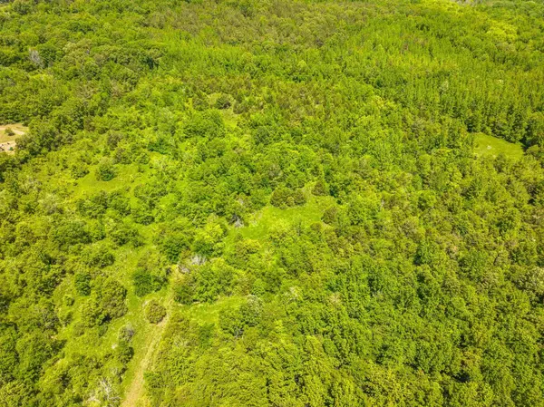 2340 CENTER HILL RD, Finger, TN 38334