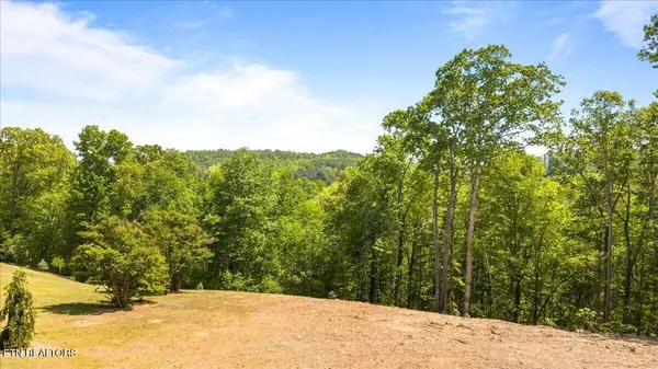 0 Cheri Lane, Caryville, TN 37714
