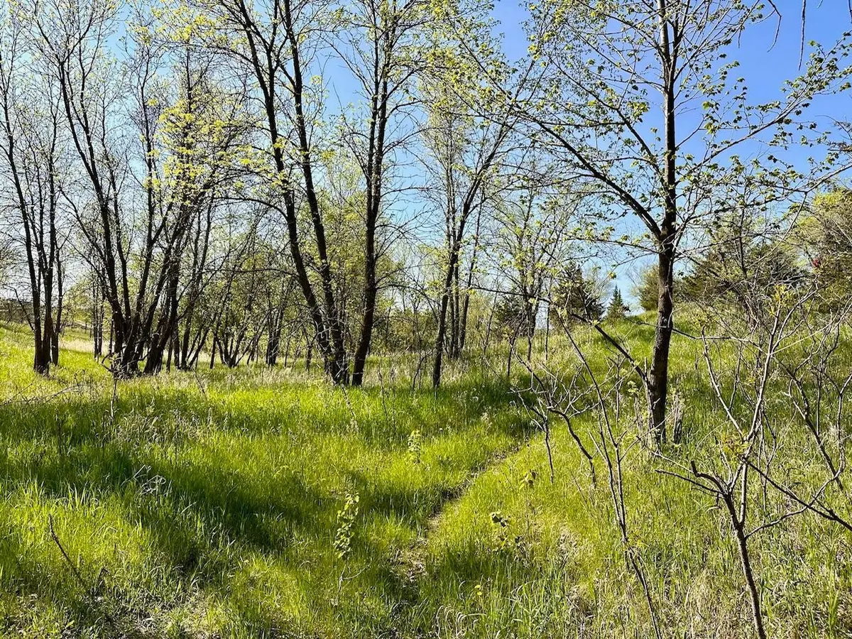 XXX US-71, Little Sauk Twp, MN 56378