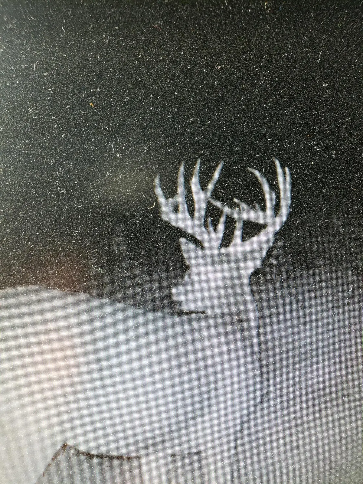 TBD 208th AVE, Erhard, MN 56534