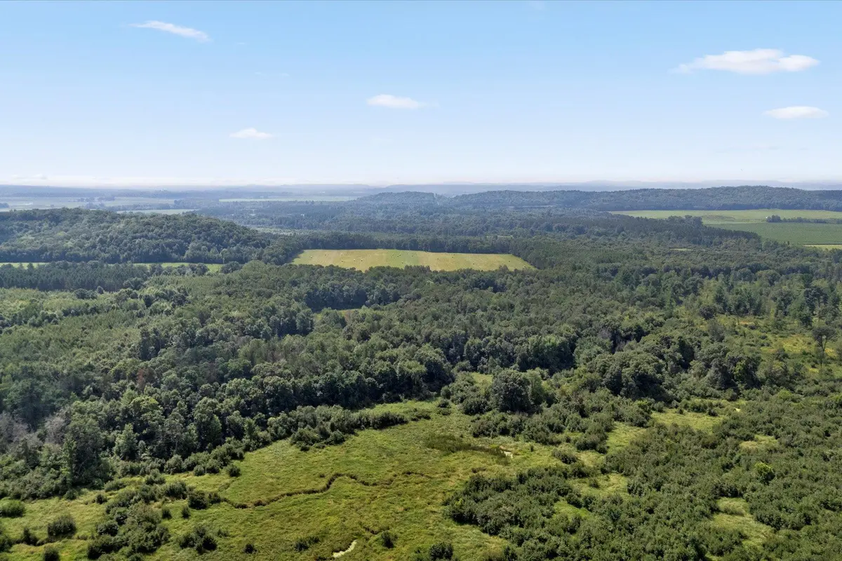 142 Acres 520th ST, Hay River Twp, WI 54772
