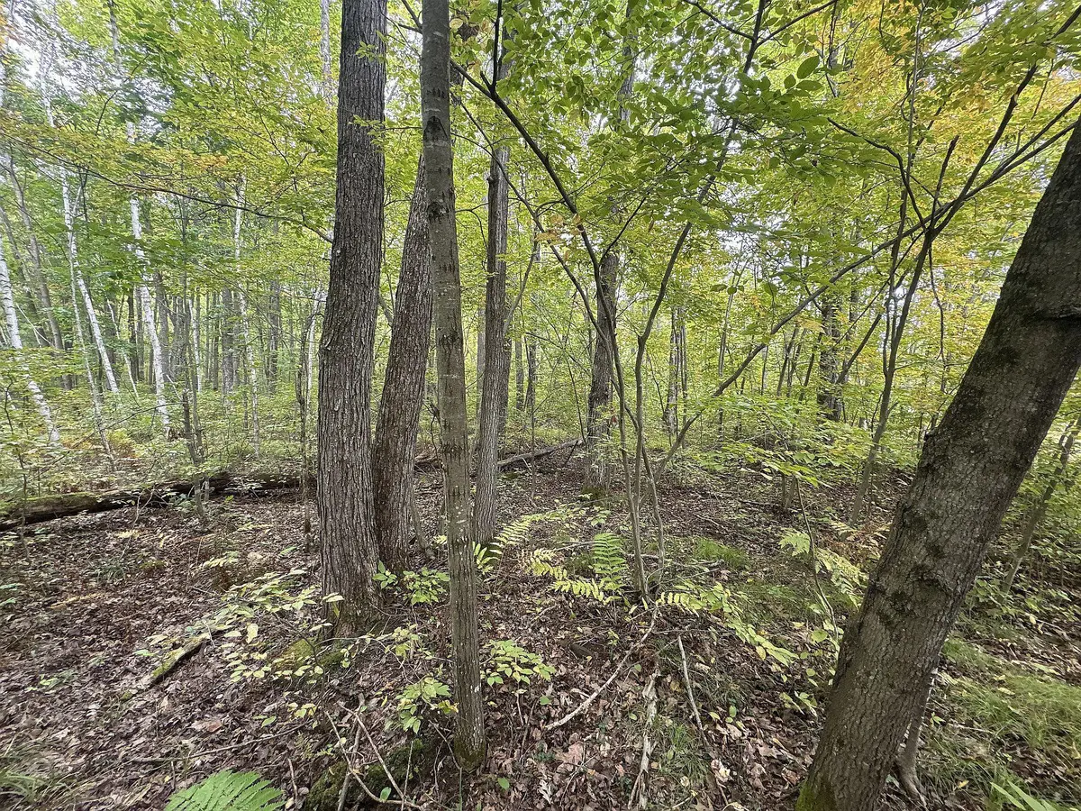 TBD 282nd AVE, Birch Creek Twp, WI 54745