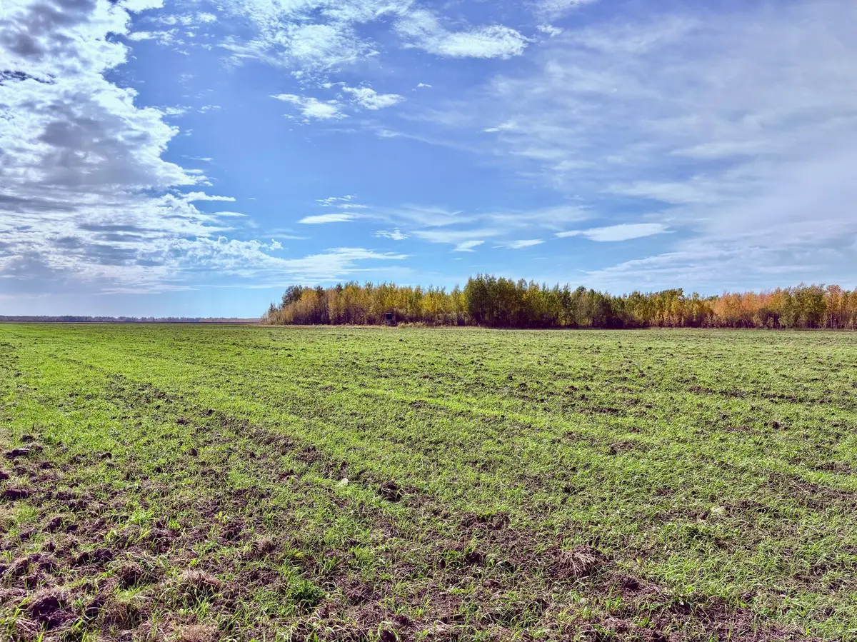 TBD 13th Ave SW, Baudette, MN 56623
