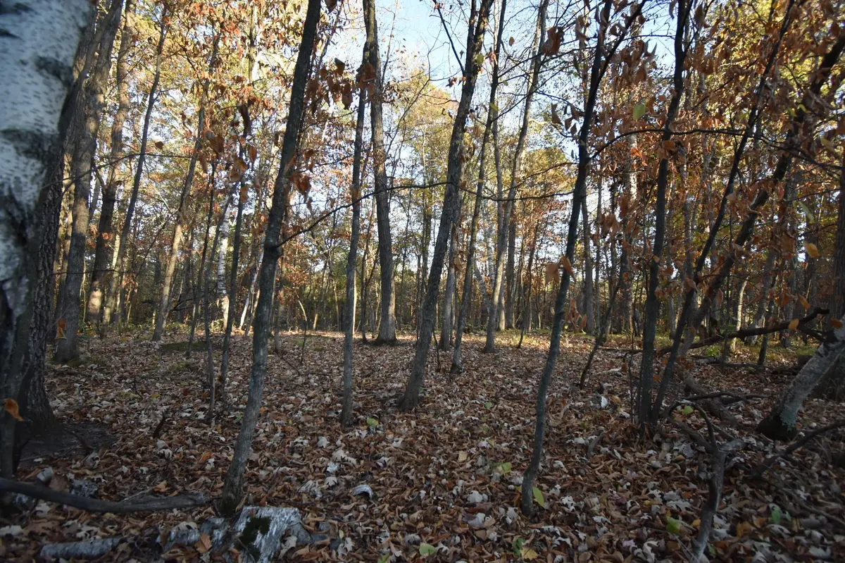 TBD Ranchette Drive, Breezy Point, MN 56472